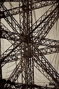 Wall_Art_Alphabet_Photography_Art_ 2487